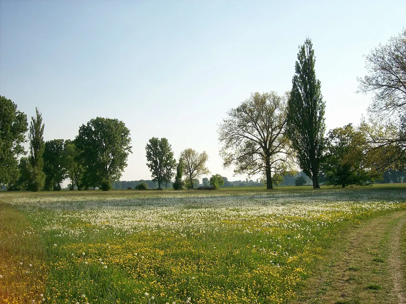 Altrhein, Landkreis Karlsruhe