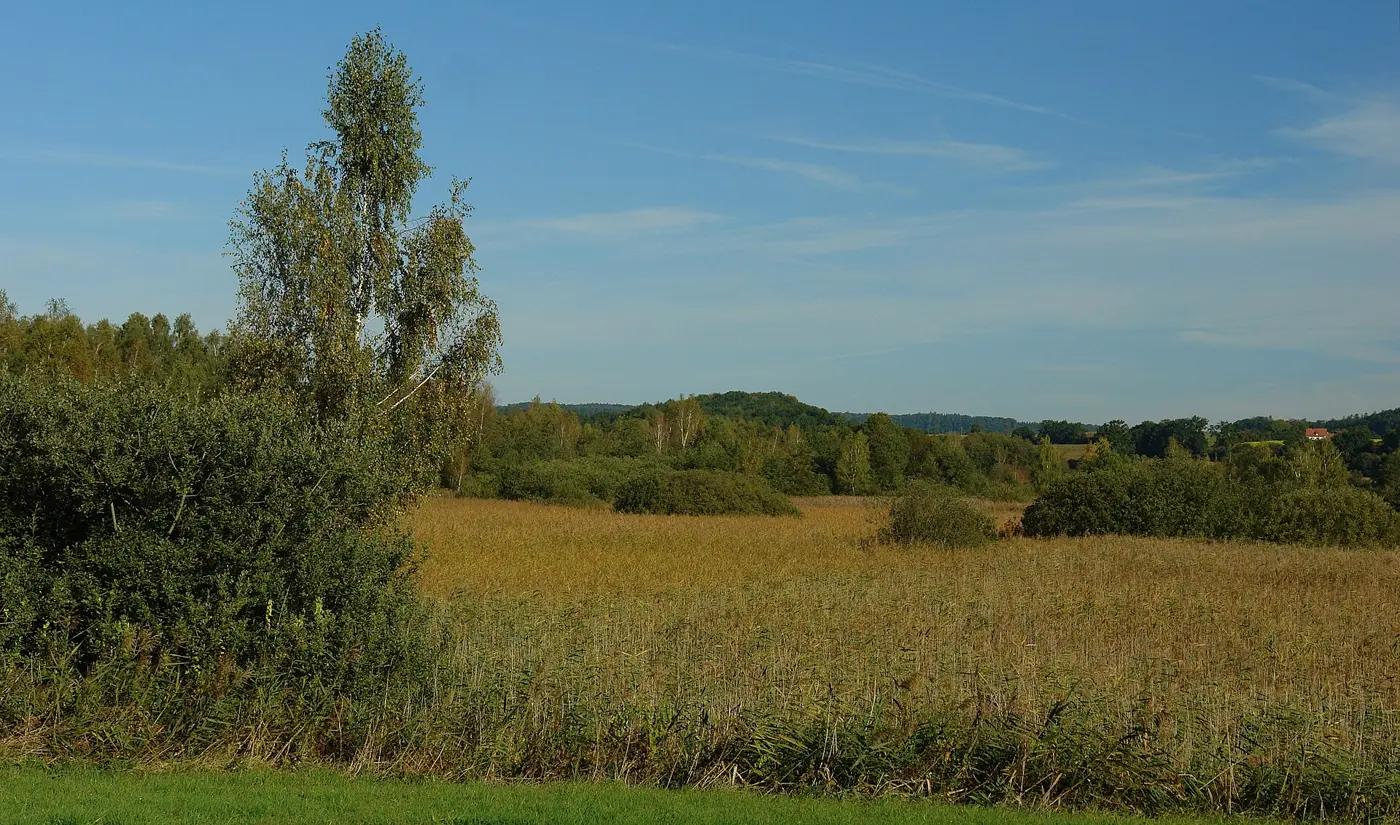 Altshauser Weiher, Landkreis Ravensburg