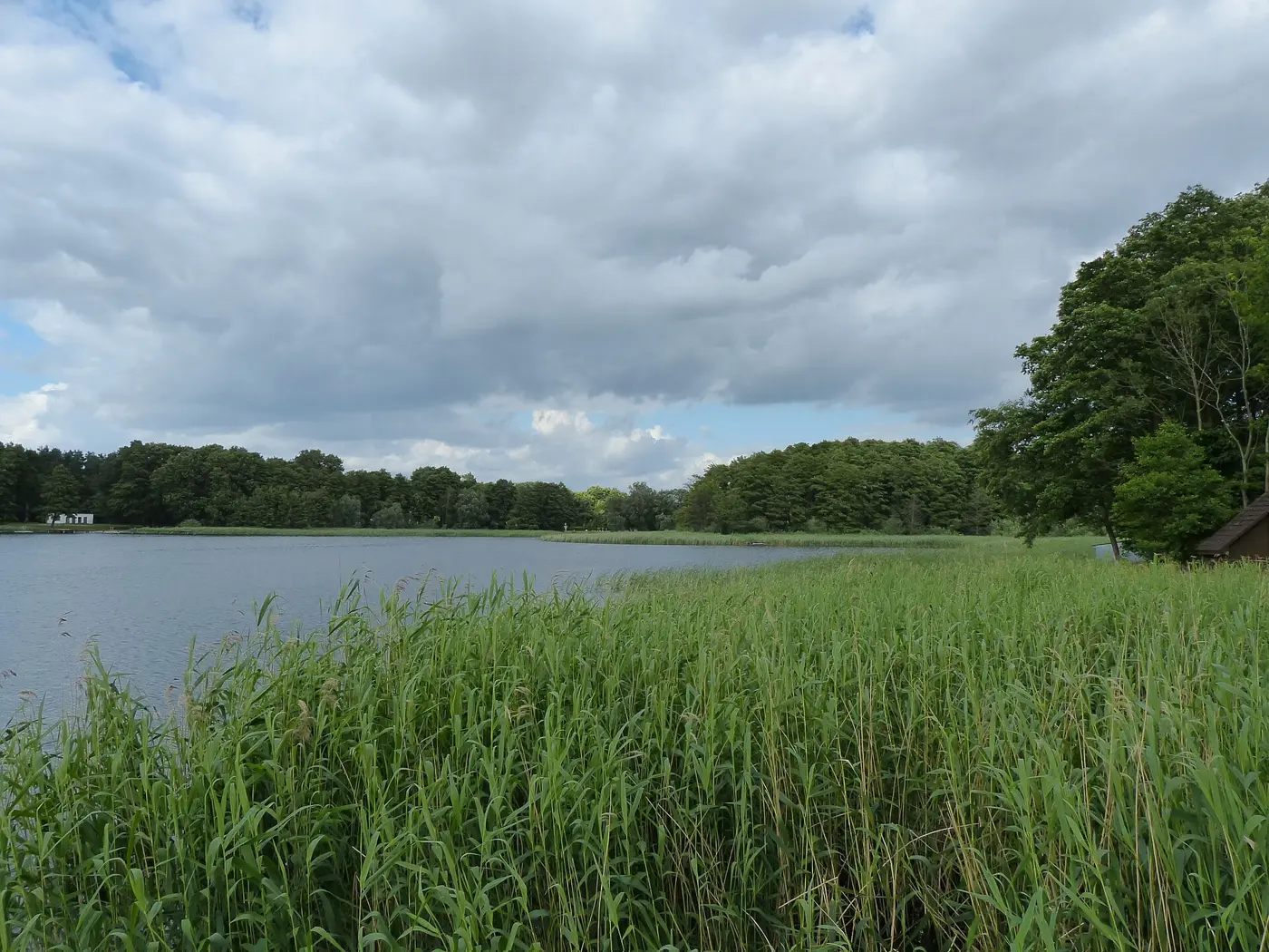 Altwigshagener See, Landkreis Vorpommern-Greifswald