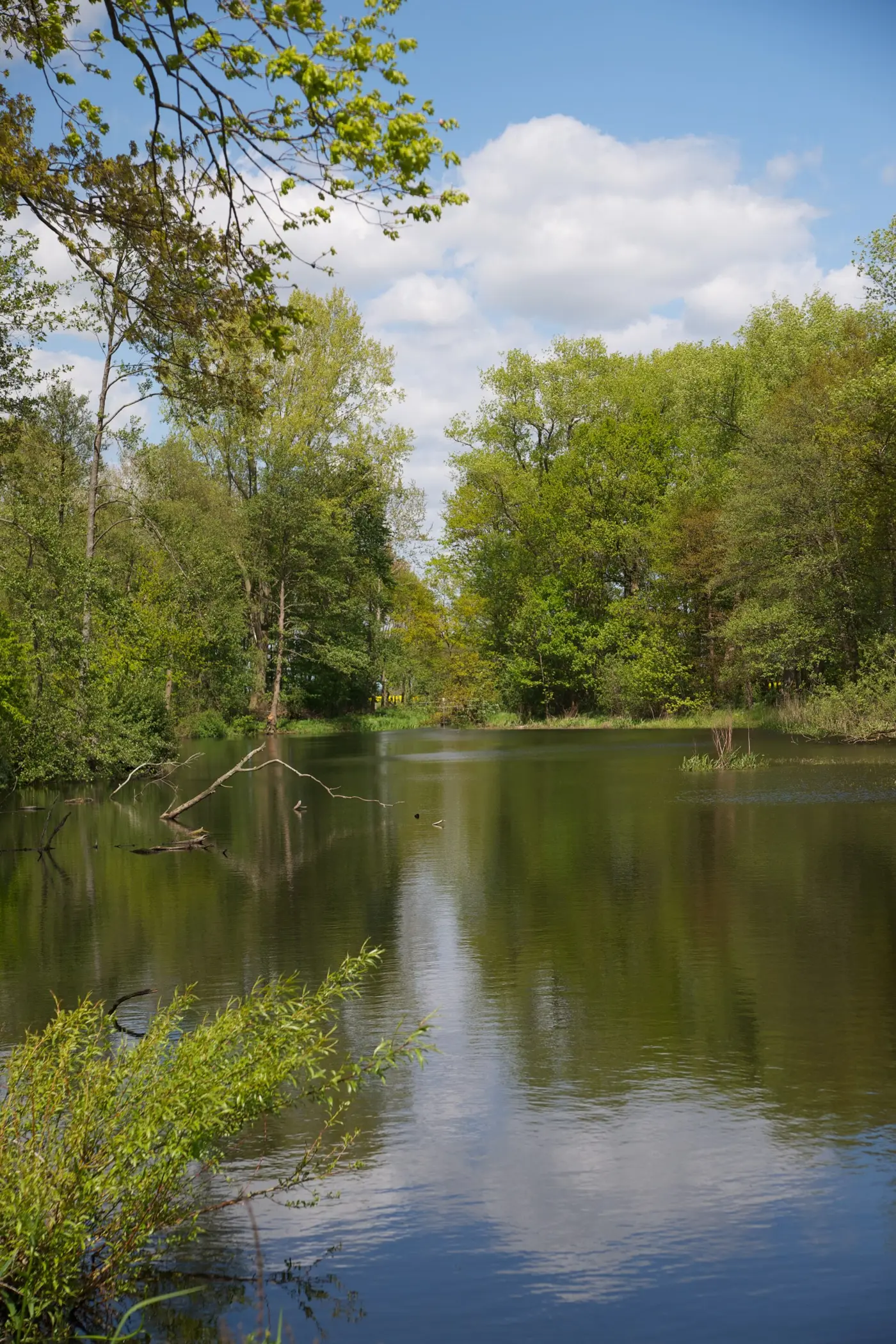 Alveser See, Landkreis Nienburg (Weser)