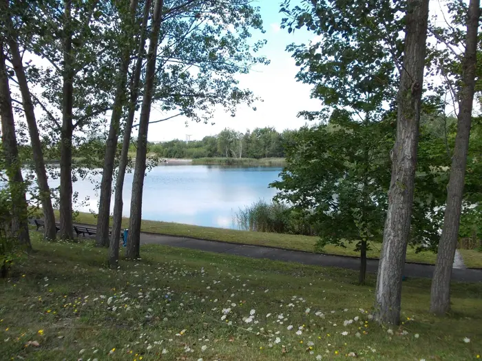 Angersdorfer Teiche, Halle (Saale)