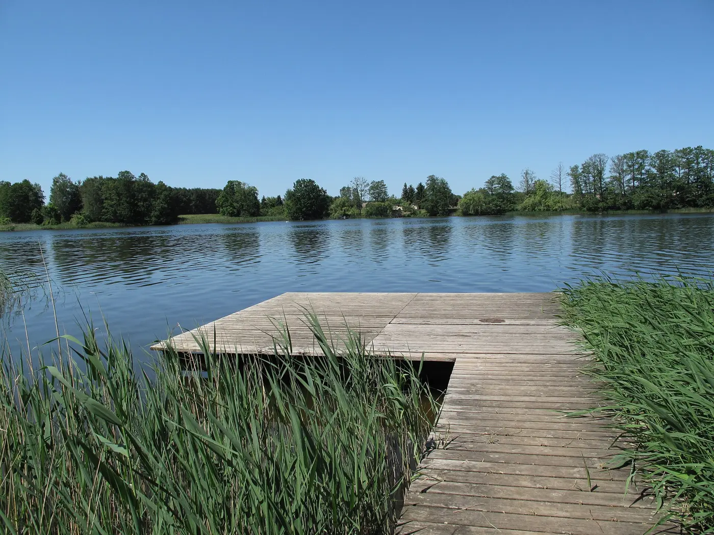 Bauernsee, Landkreis Oder-Spree