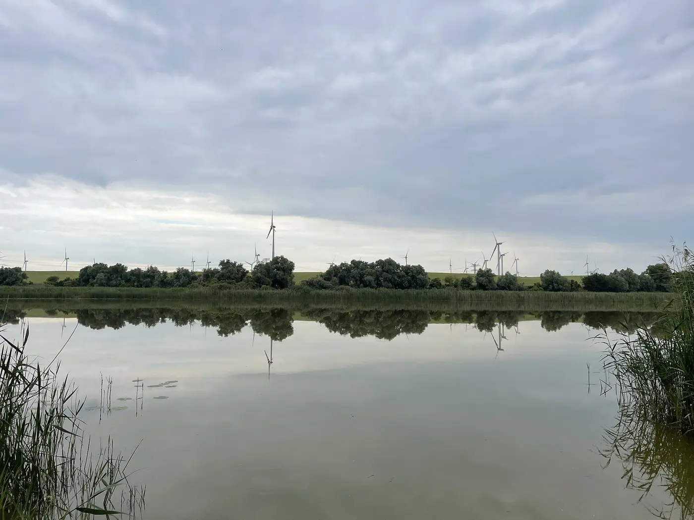 Baumgartener See, Landkreis Uckermark