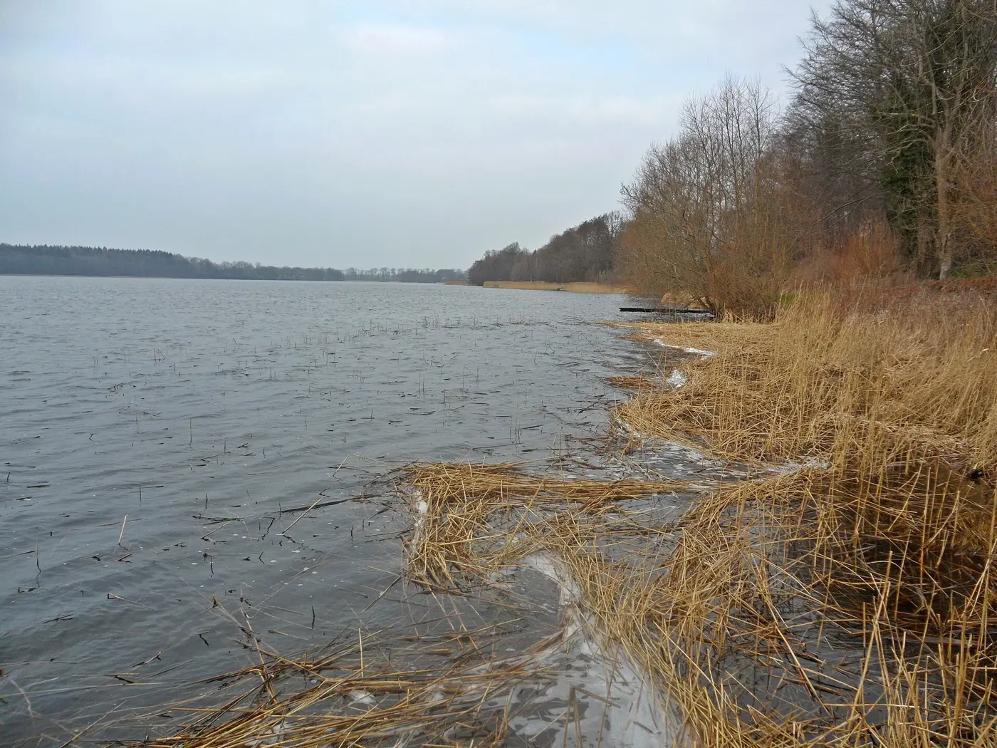 Belauer See, Kreis Plön