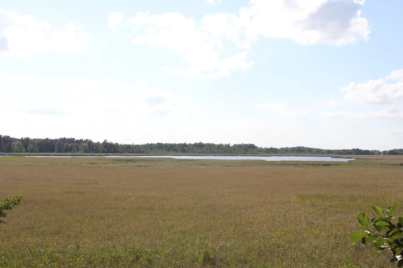 Binnenmüritz, Landkreis Mecklenburgische Seenplatte