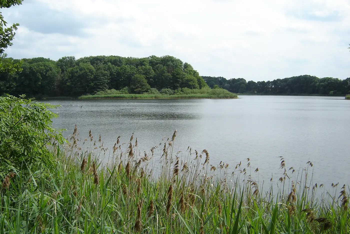 Bolzer See, Landkreis Ludwigslust-Parchim