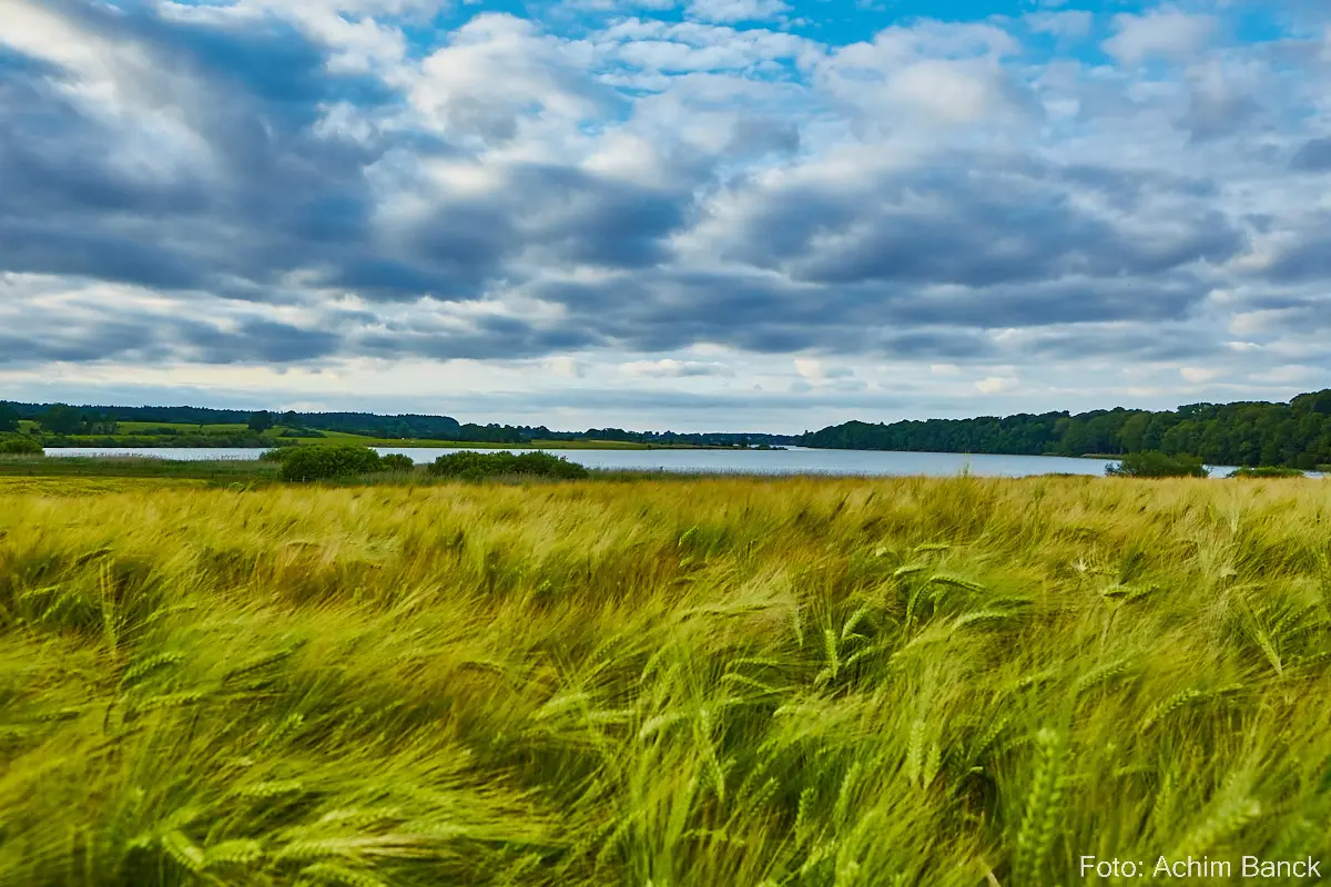 Bothkamper See, Kreis Plön