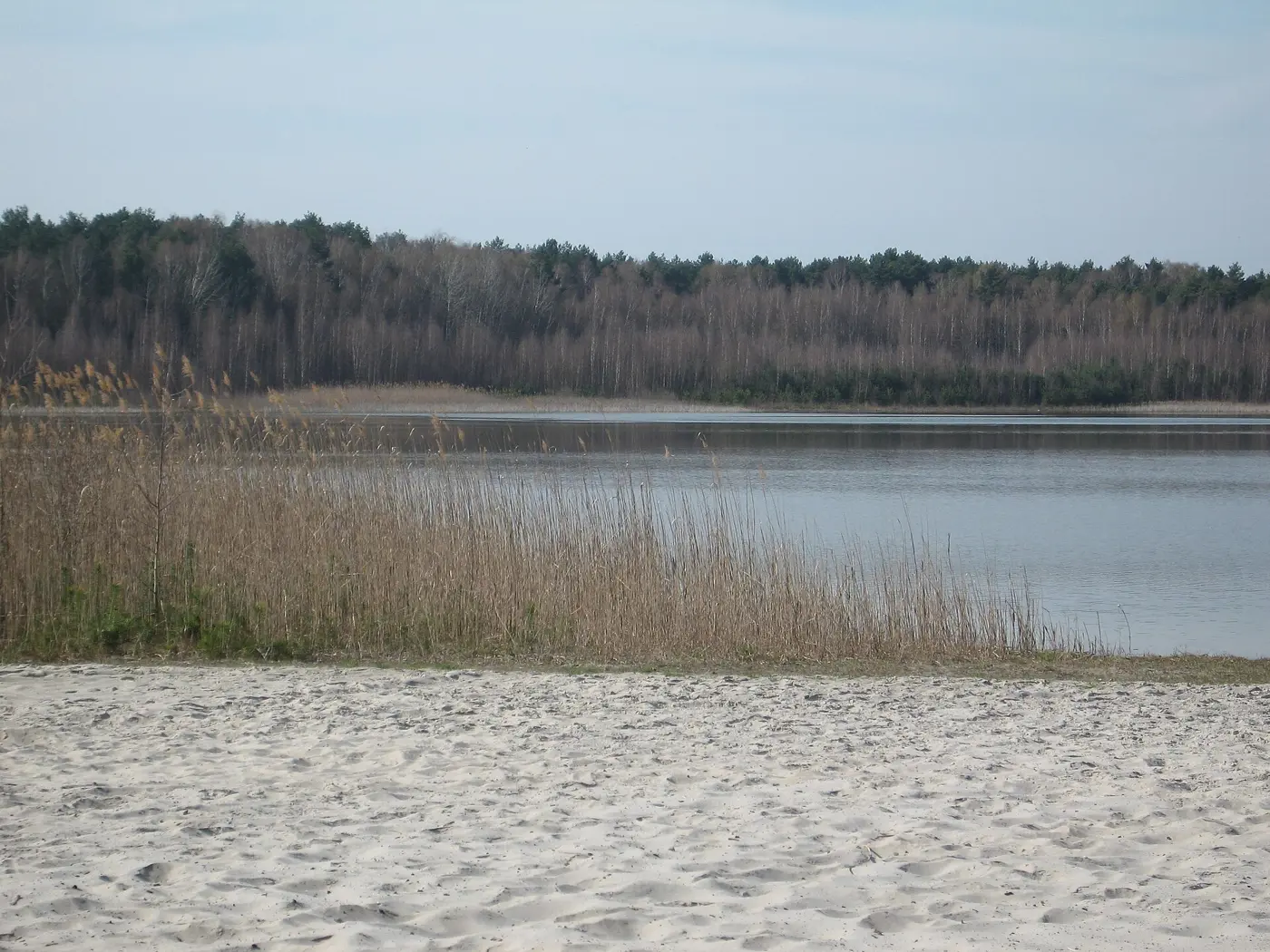 Briesener See, Landkreis Dahme-Spreewald