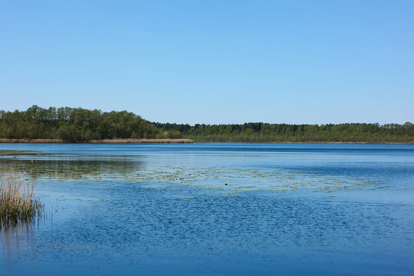Bugker See, Landkreis Oder-Spree