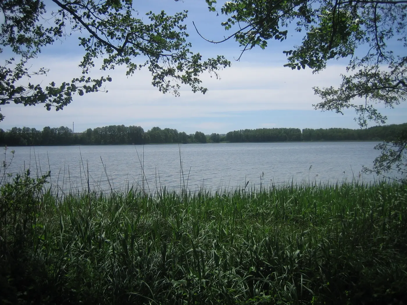 Camminer See, Landkreis Mecklenburgische Seenplatte