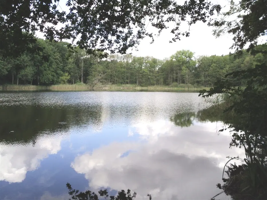 Chemnitzer See, Landkreis Mecklenburgische Seenplatte