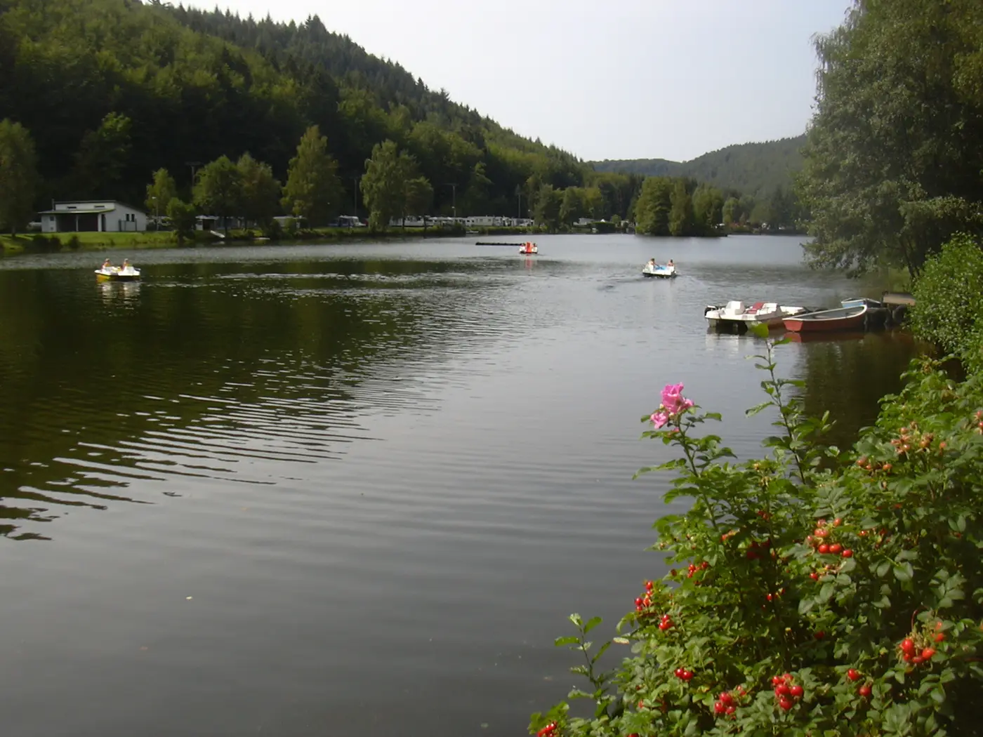 Clausensee, Landkreis Südwestpfalz