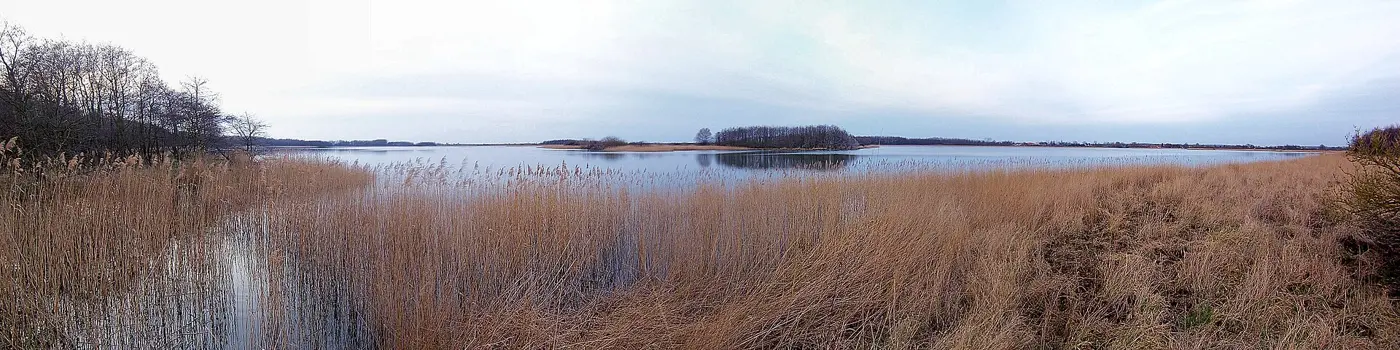 Conventer See, Landkreis Rostock