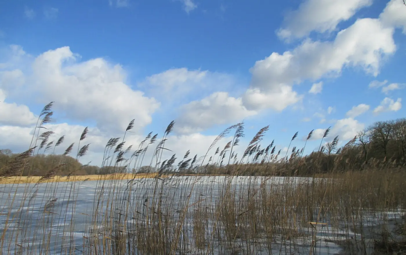Crassensee, Landkreis Wittenberg