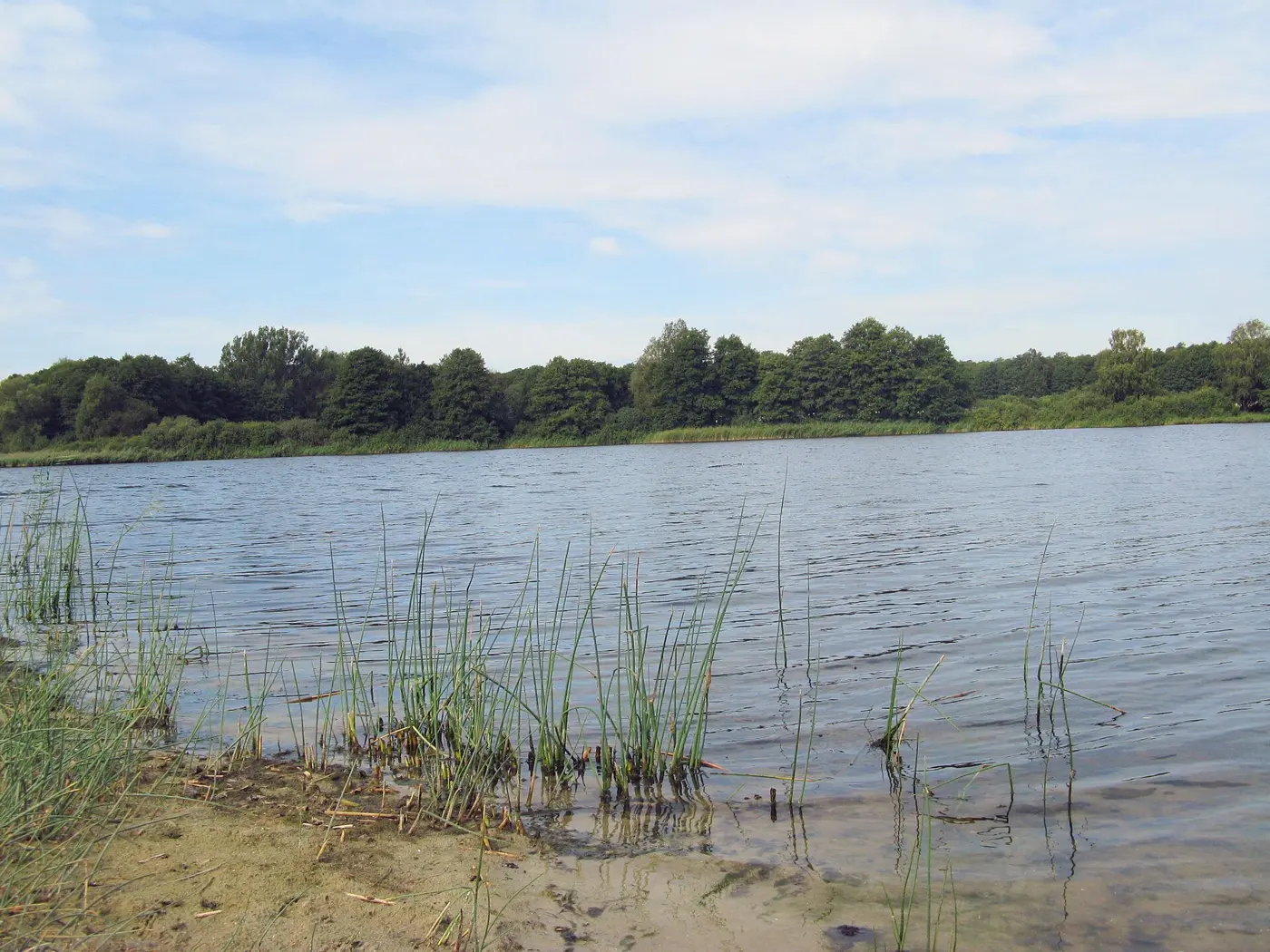 Dambecker See, Landkreis Mecklenburgische Seenplatte
