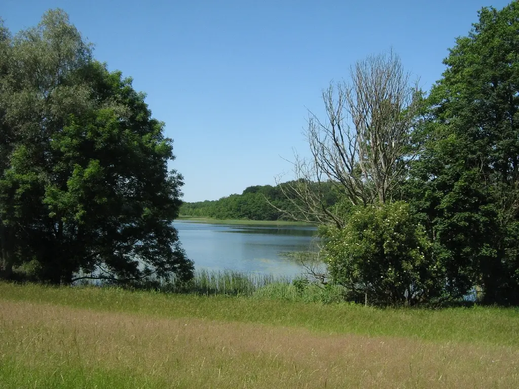 Dambecker See, Landkreis Mecklenburgische Seenplatte