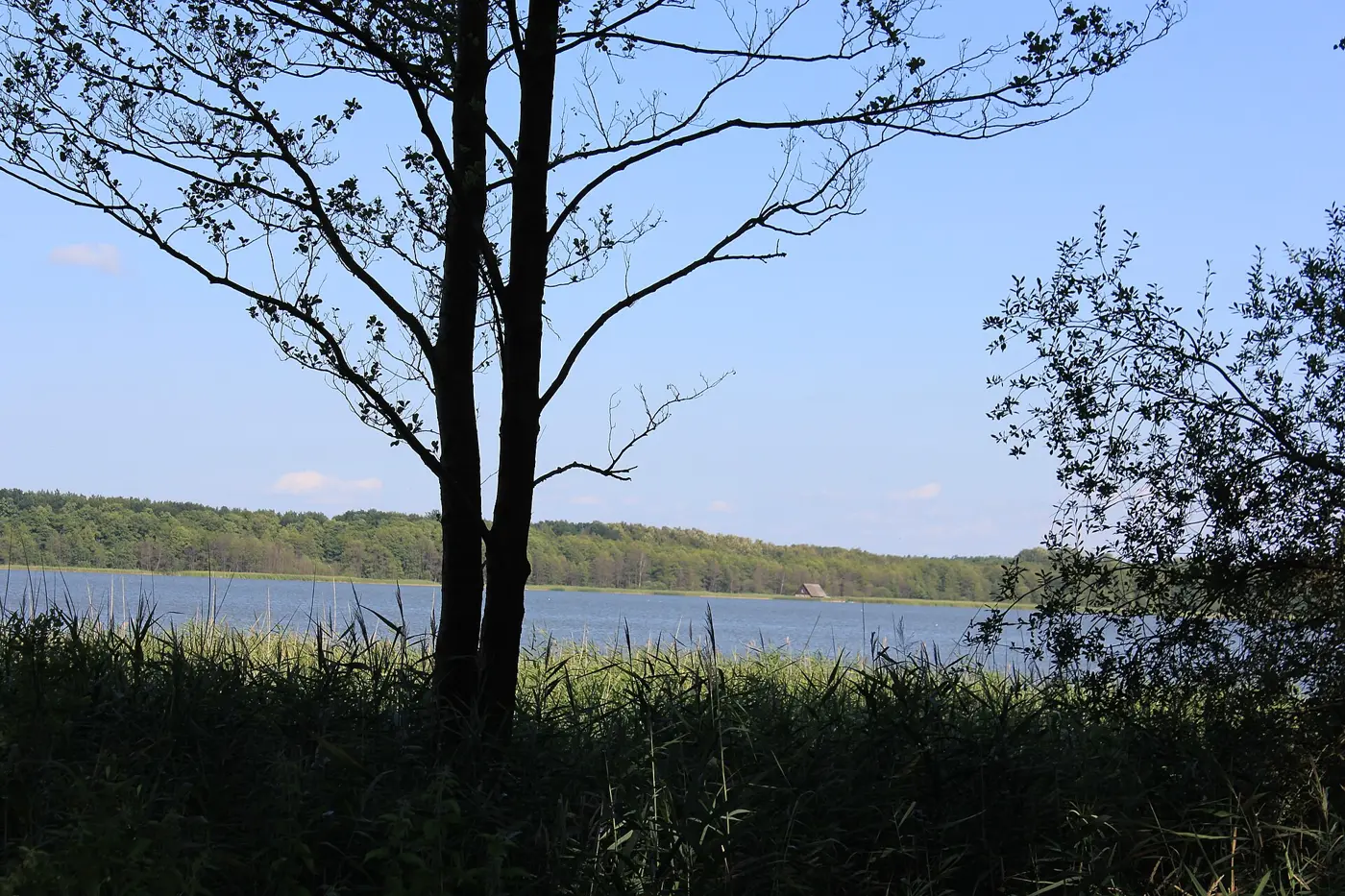 Damerower See, Landkreis Ludwigslust-Parchim