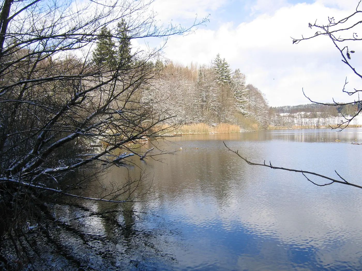 Degersee, Bodenseekreis