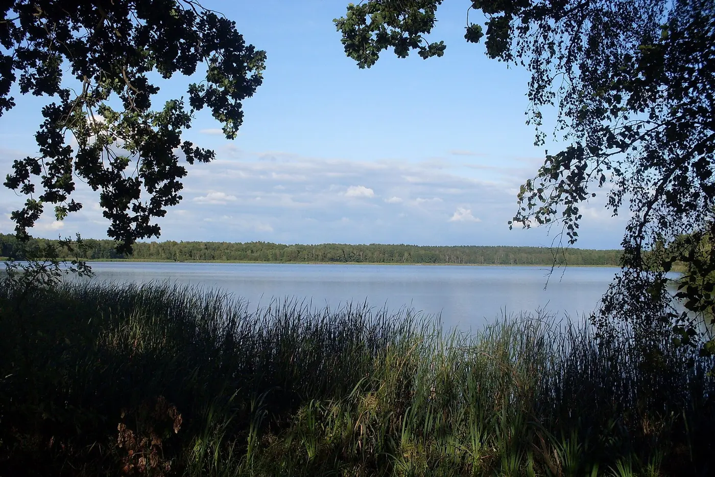 Deutschbaselitzer Großteich, Landkreis Bautzen