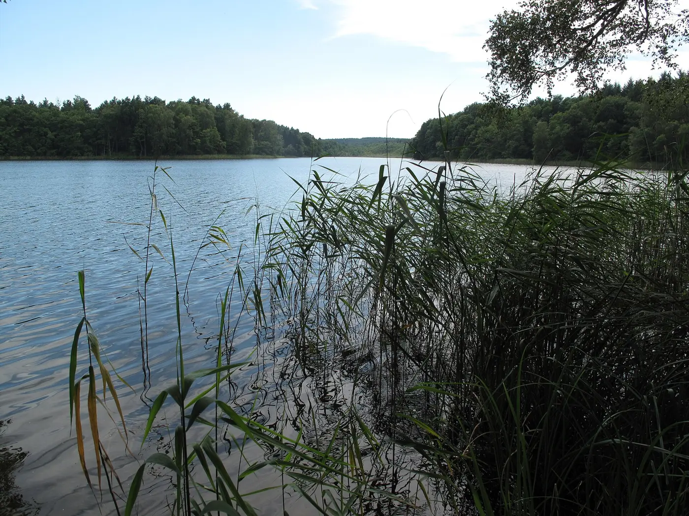 Dolgensee, Landkreis Märkisch-Oderland