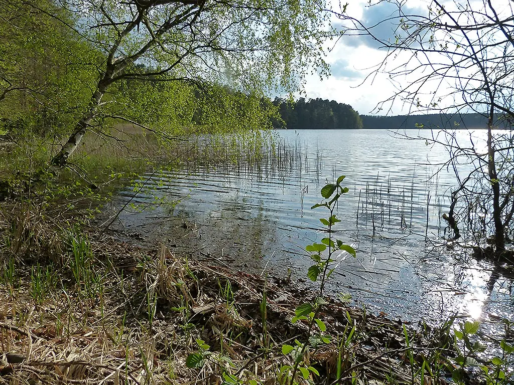 Dollgowsee, Landkreis Ostprignitz-Ruppin
