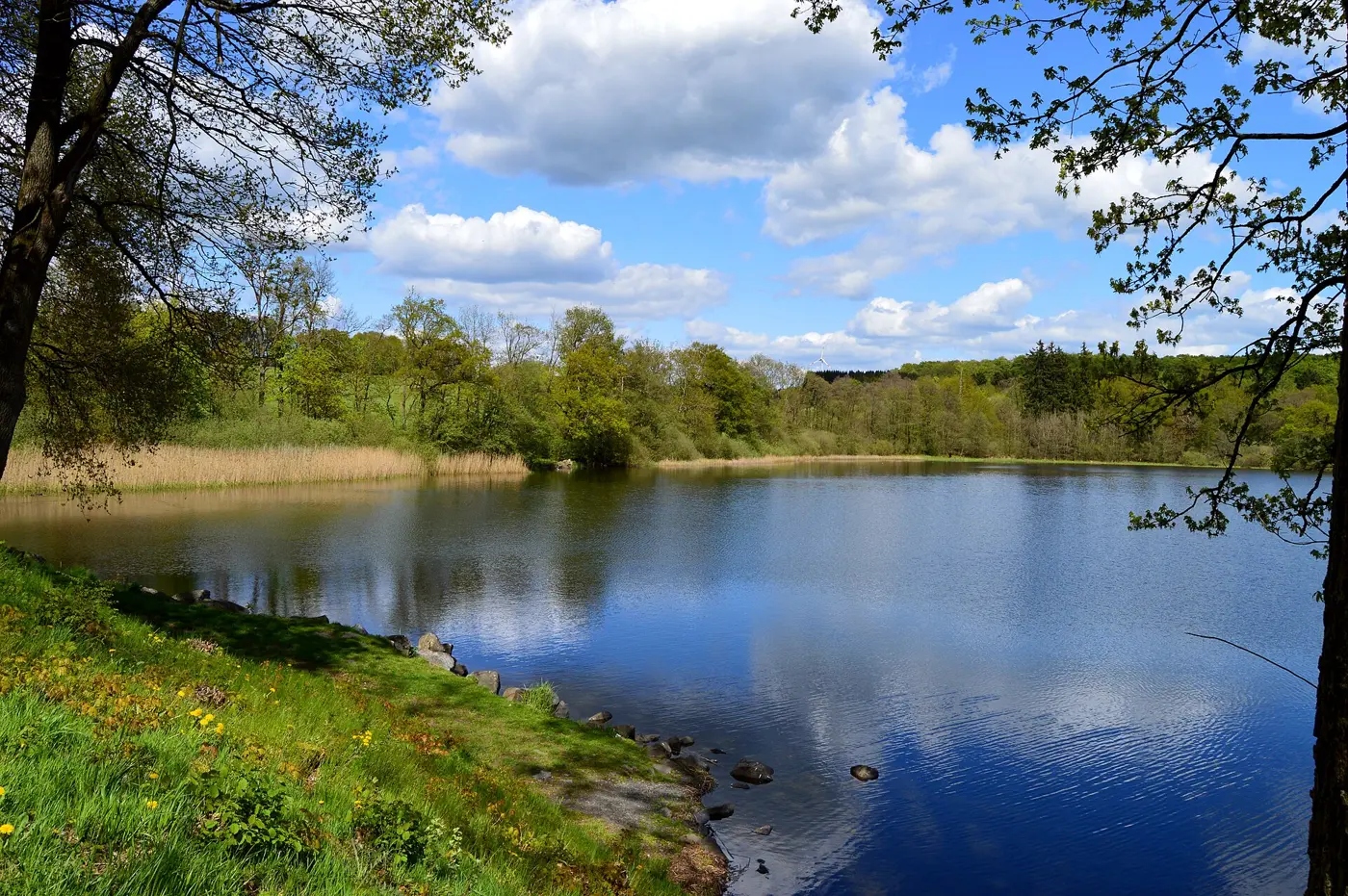 Dreifelder Weiher, Westerwaldkreis
