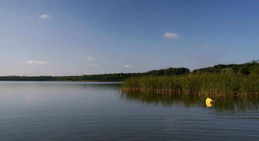 Dreiweiberner See, Landkreis Bautzen