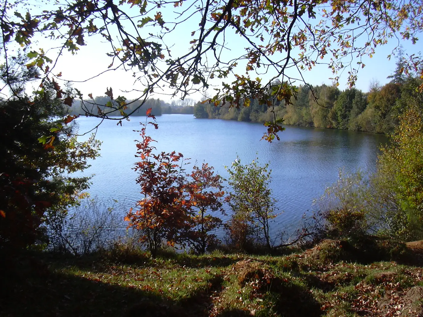 Effelder Waldsee, Kreis Heinsberg