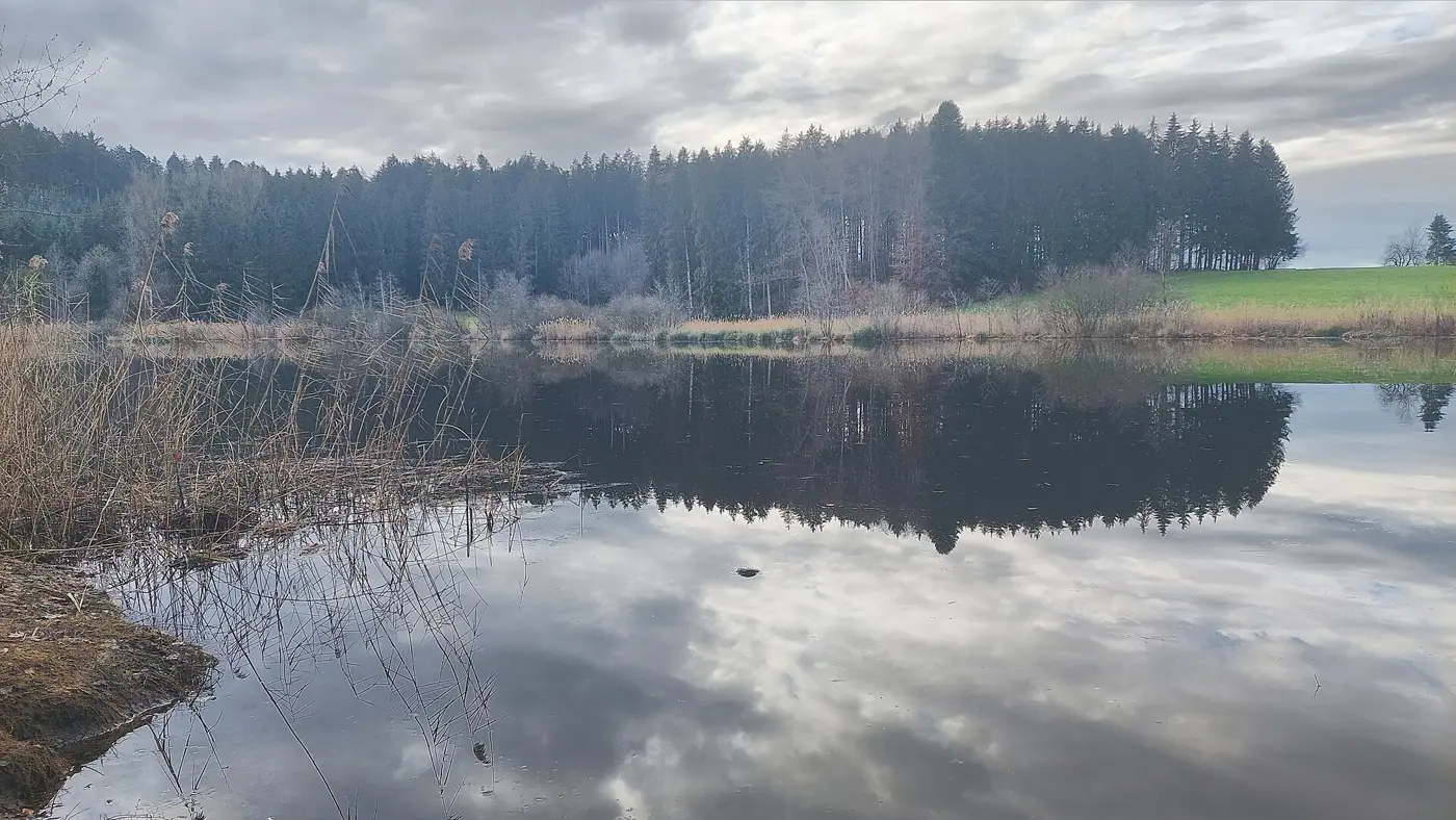 Elitzer See, Landkreis Ravensburg