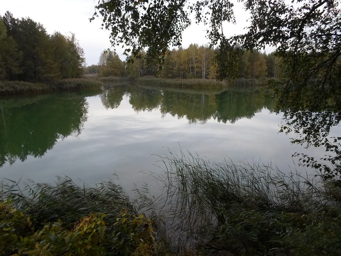 Erikasee, Landkreis Gifhorn
