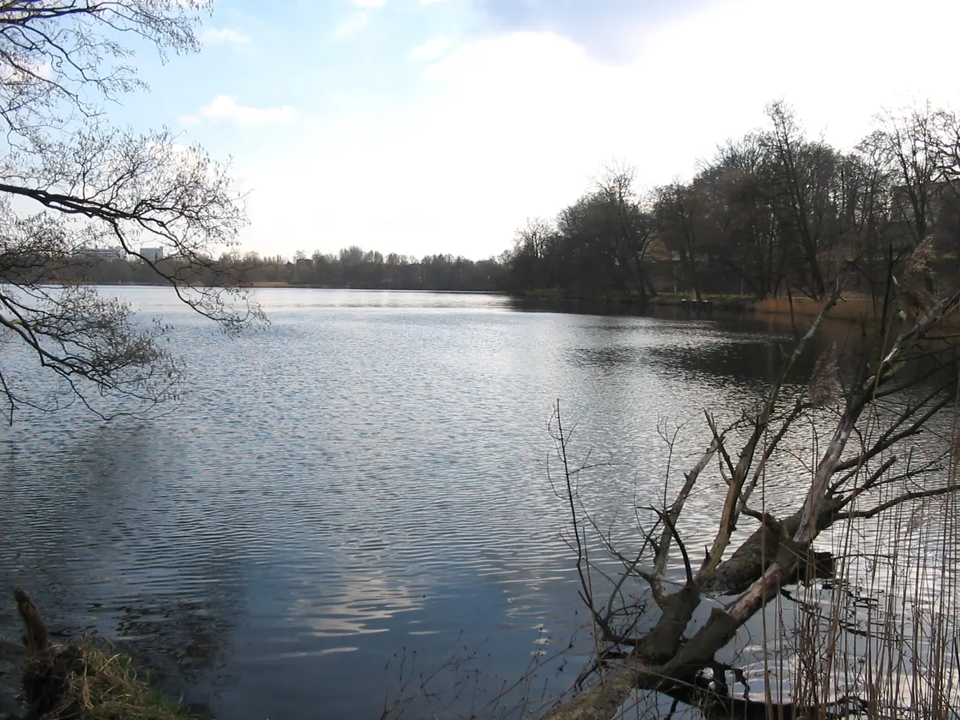 Fauler See, Schwerin