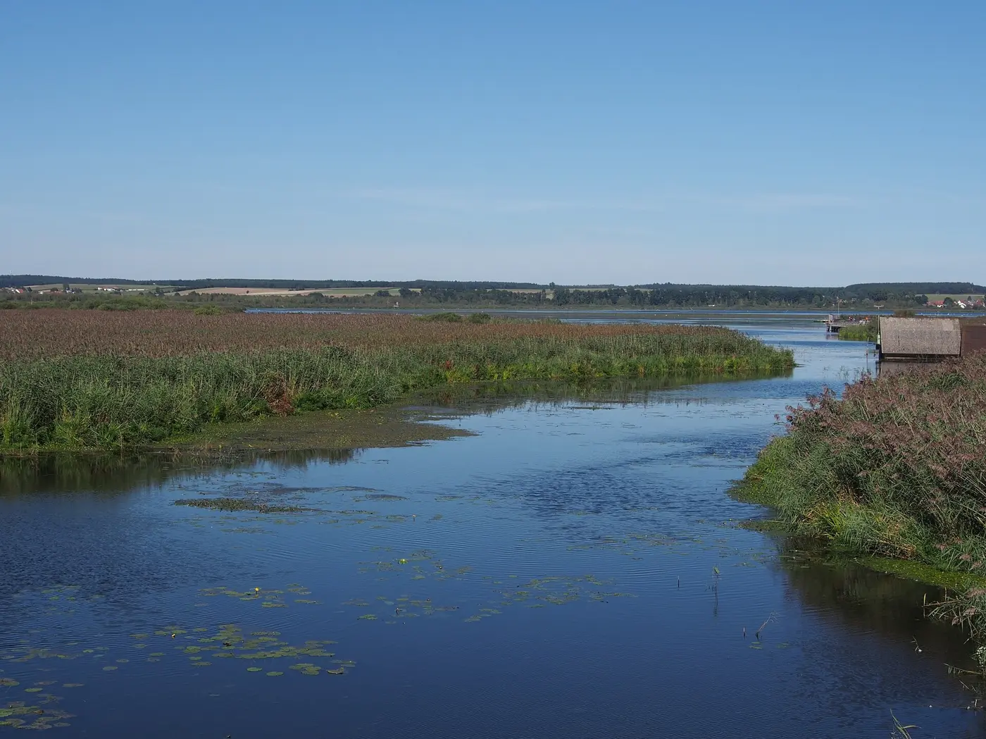 Federsee, Landkreis Biberach