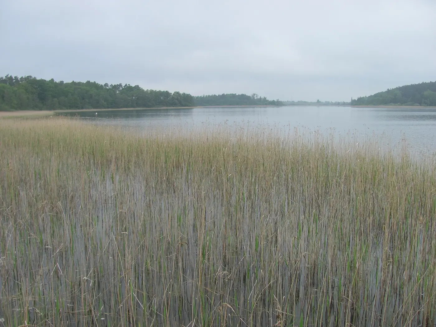 Feisnecksee, Landkreis Mecklenburgische Seenplatte