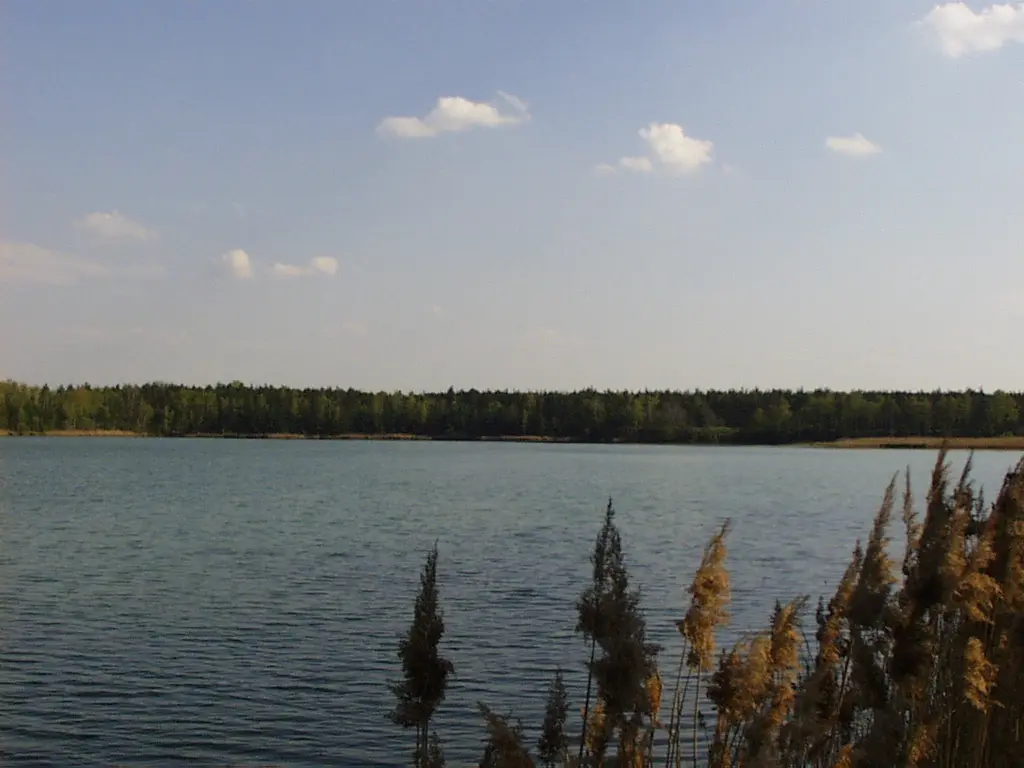 Ferdinandsee, Landkreis Oberspreewald-Lausitz