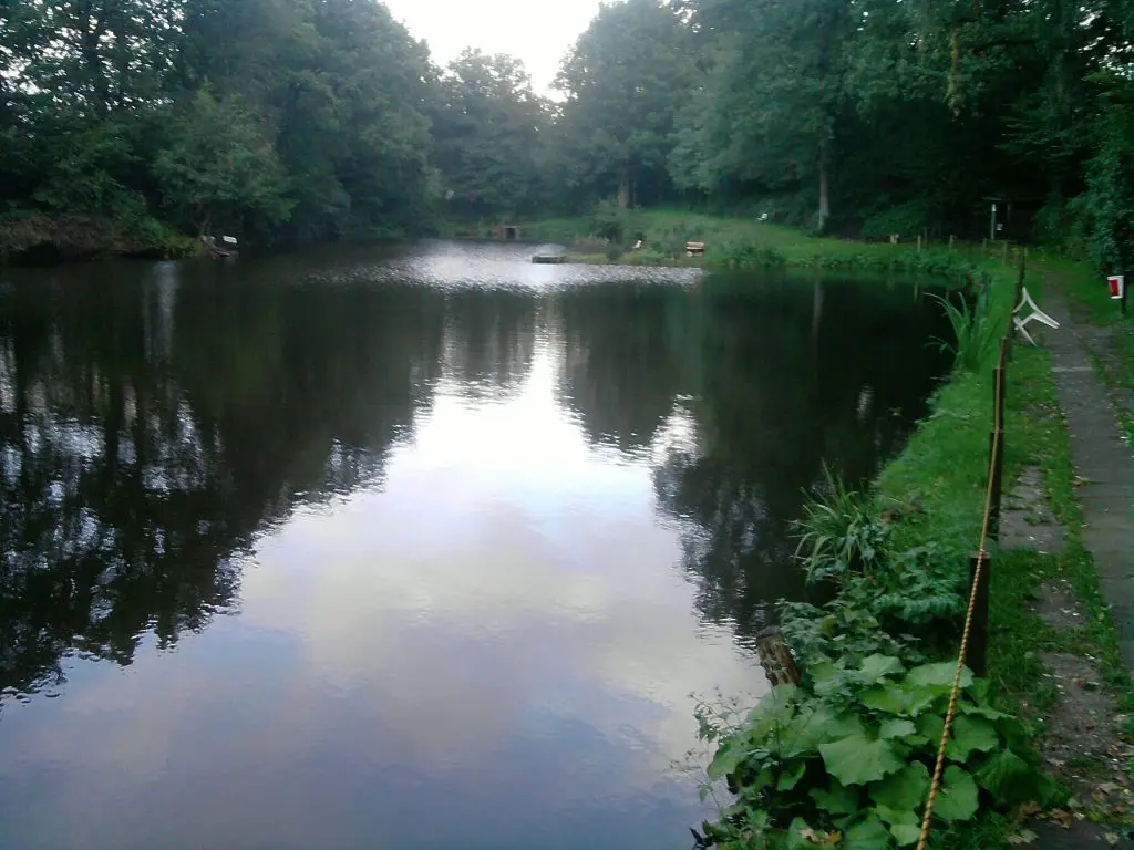 Forellensee, Kreis Herzogtum Lauenburg