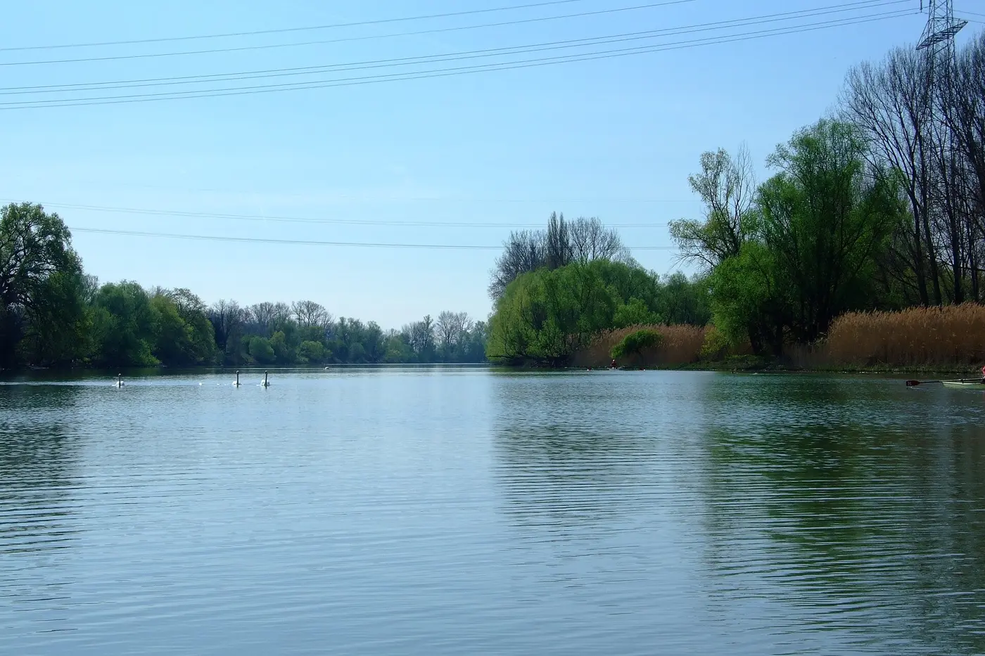 Ginsheimer Altrhein, Landkreis Groß-Gerau