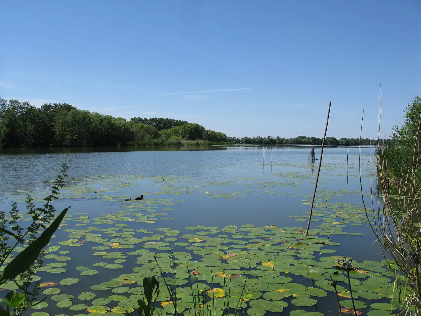 Göttinsee, Landkreis Havelland
