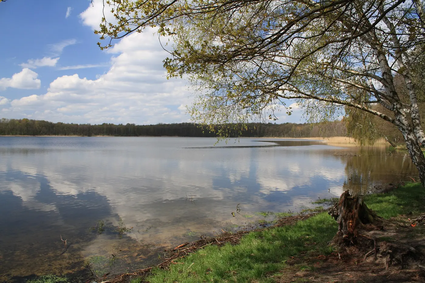 Gorinsee, Landkreis Barnim
