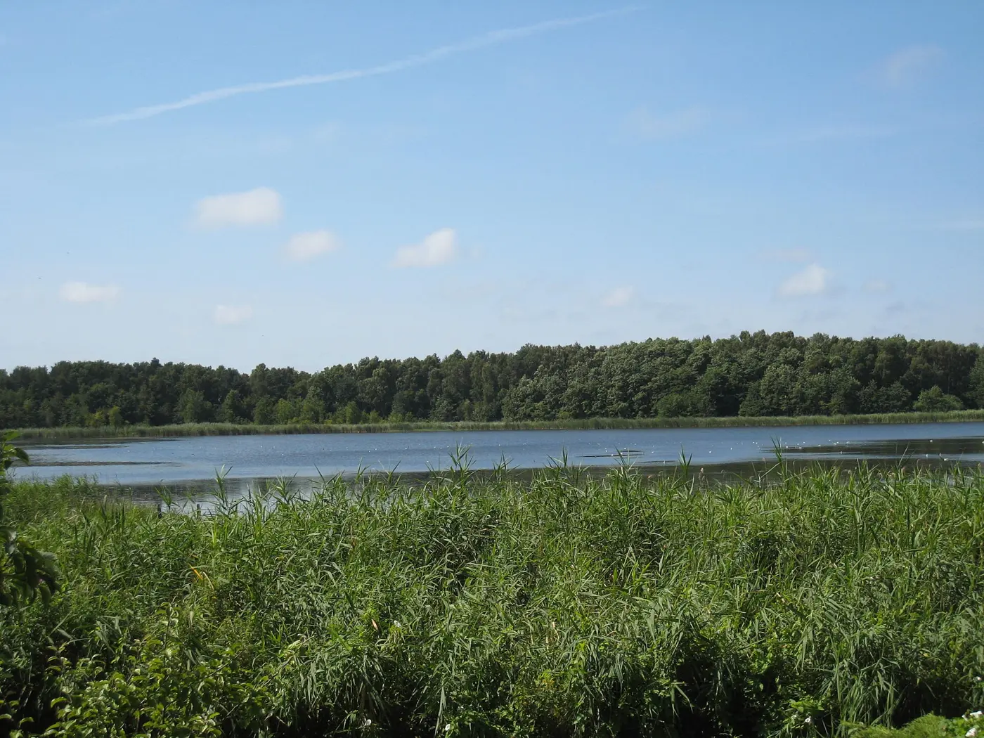 Gothensee, Landkreis Vorpommern-Greifswald