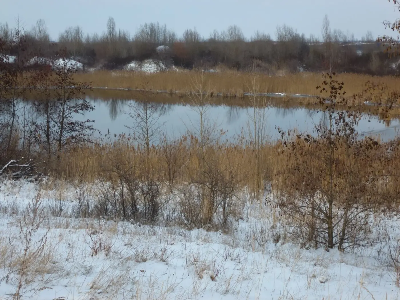 Grabschützer See, Landkreis Nordsachsen