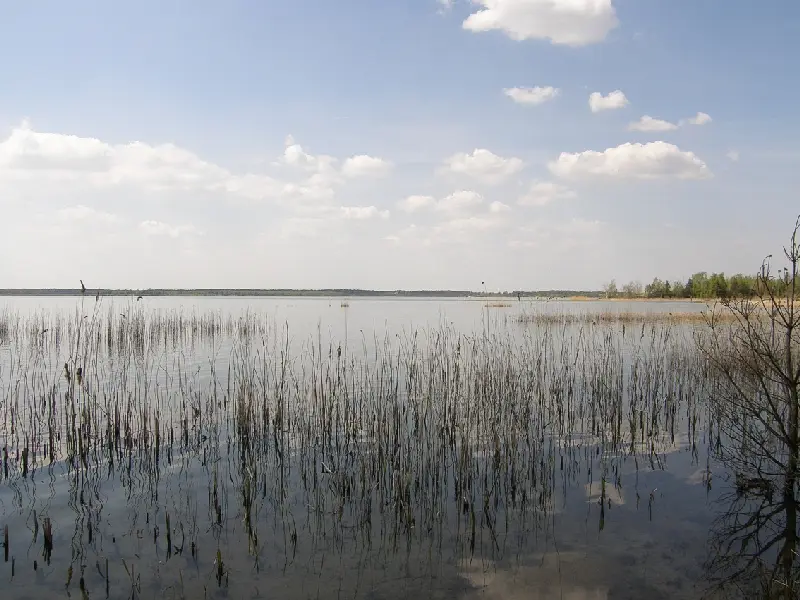 Gräbendorfer See, Landkreis Oberspreewald-Lausitz