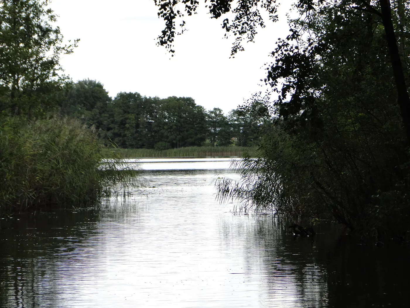 Granziner See, Landkreis Mecklenburgische Seenplatte