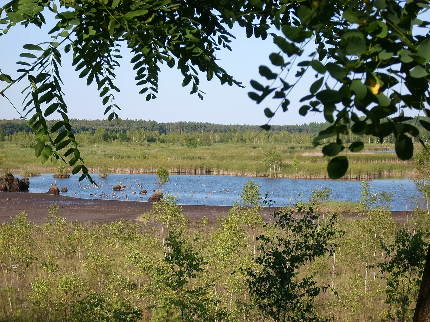 Graureihersee, Landkreis Bautzen