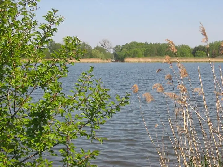 Grössinsee, Landkreis Teltow-Fläming