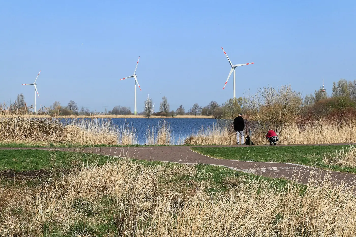 Großer Baggersee, Landkreis Neu-Ulm
