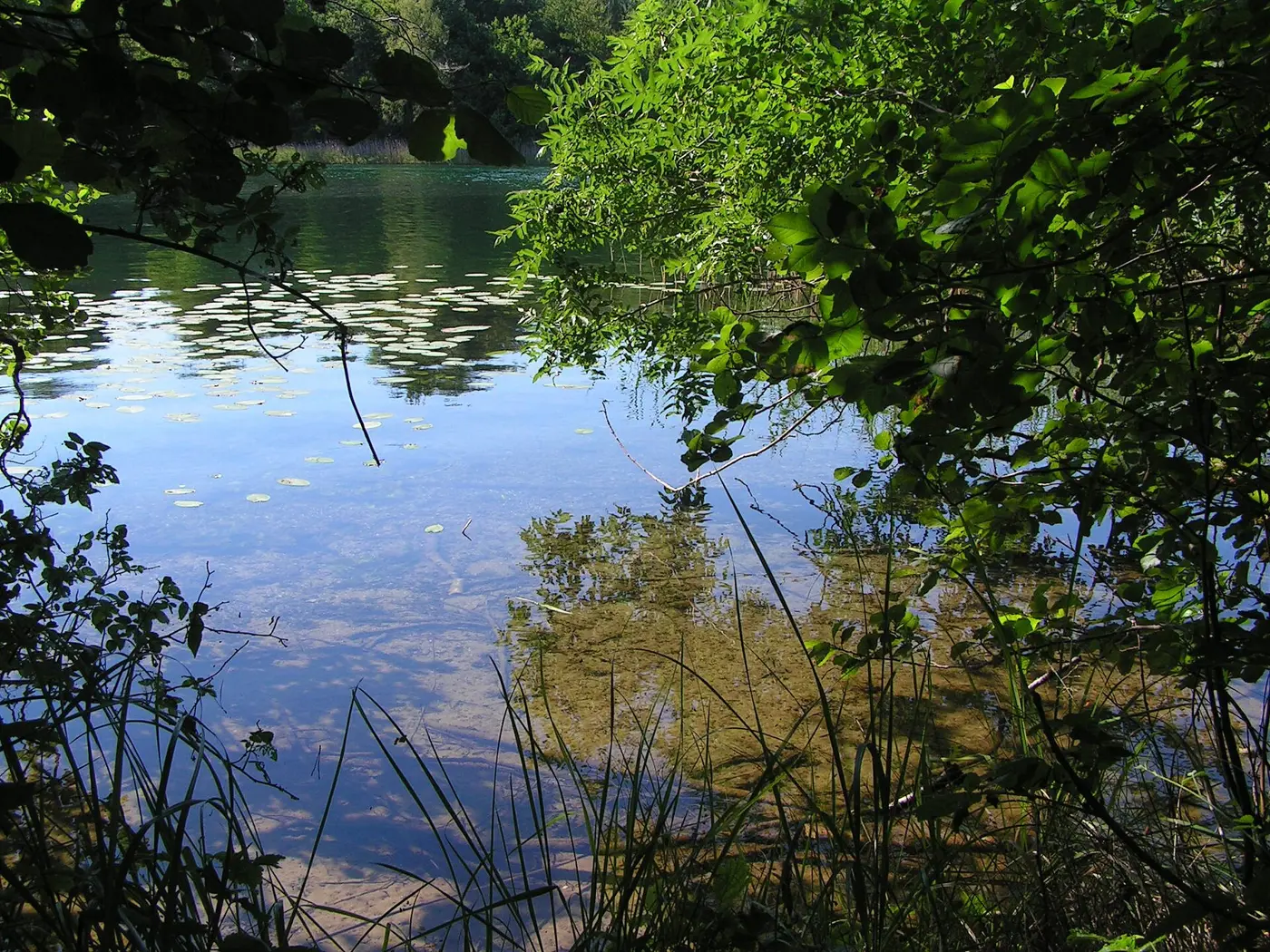 Großer Brückentinsee, Landkreis Mecklenburgische Seenplatte