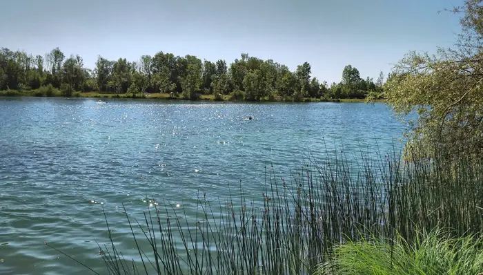 Großer Burkwanger Baggersee, Landkreis Ravensburg