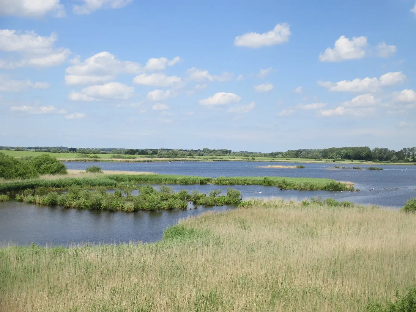 Großer Dambecker See, Landkreis Nordwestmecklenburg