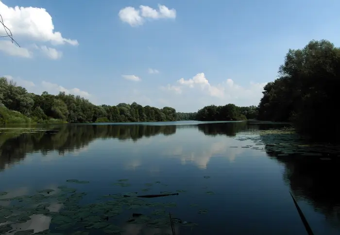 Großer Hemminger Teich, Region Hannover