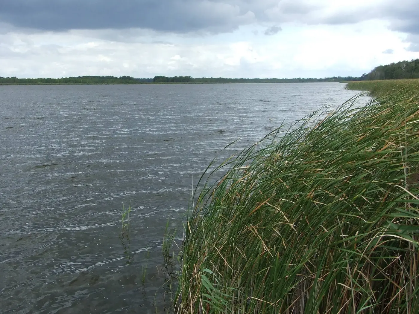 Großer Koblentzer See, Landkreis Vorpommern-Greifswald